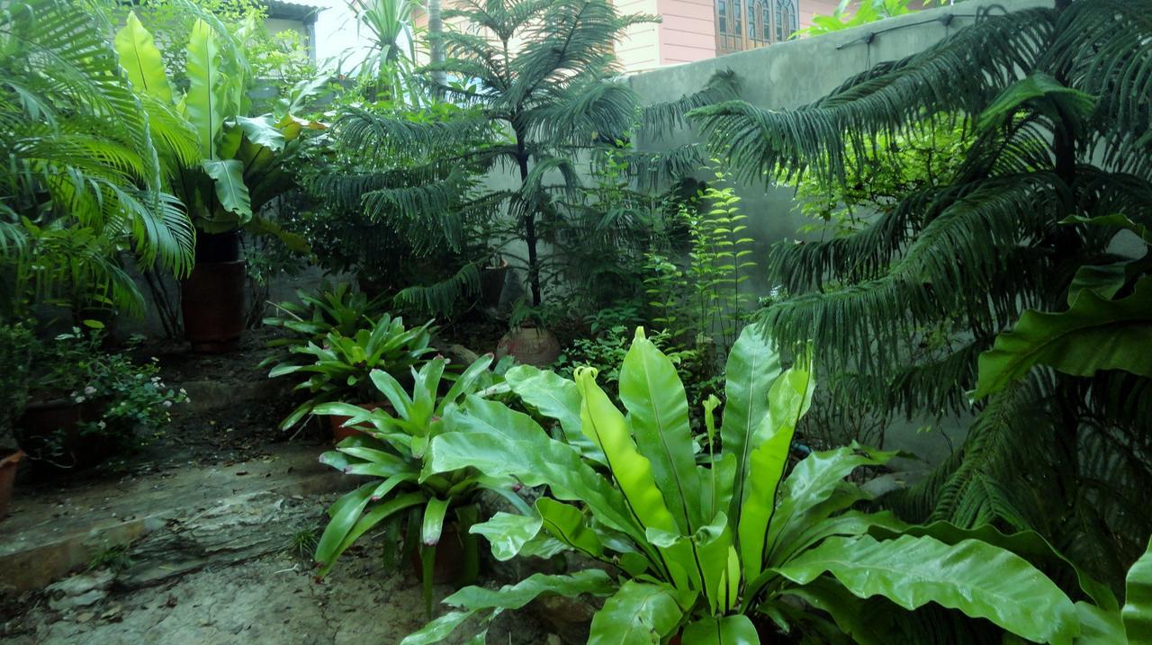 Moradok Thai Guesthouse فرا ناخون سي أيوتثايا المظهر الخارجي الصورة
